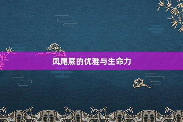 凤尾蕨的优雅与生命力