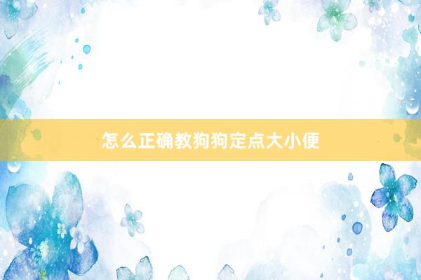 怎么正确教狗狗定点大小便